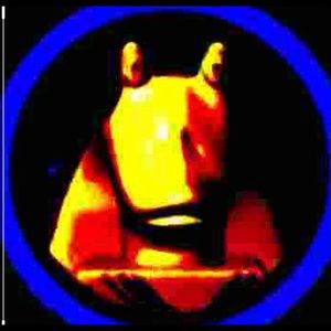 Meet your Posher, Dane